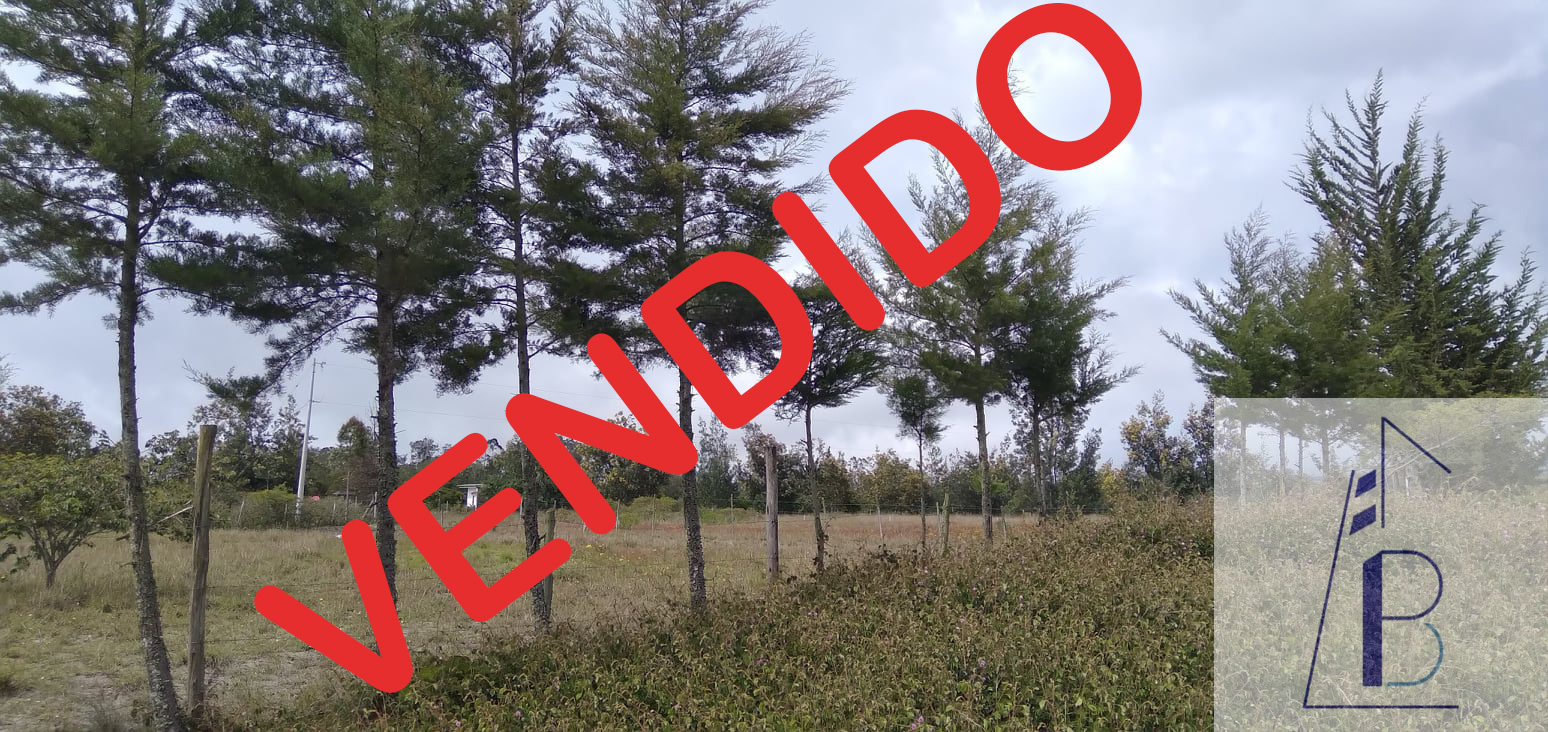 VENDIDO! DOS TERRENOS EN OFERTA MALCHINGUÍ